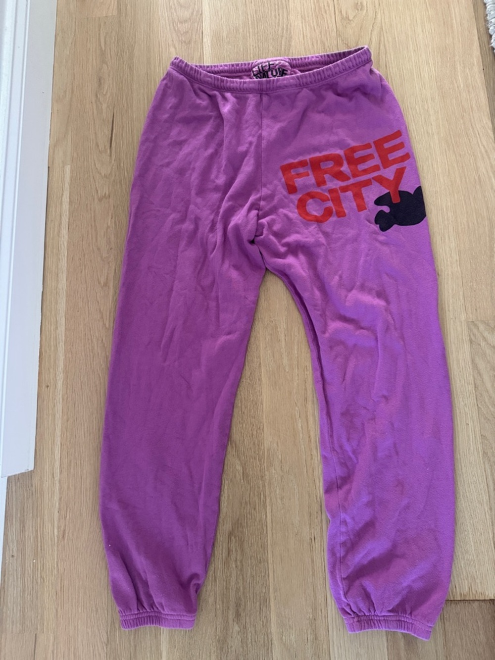 Free City Women’s Fuscia Pink Size Medium Sweatpants
